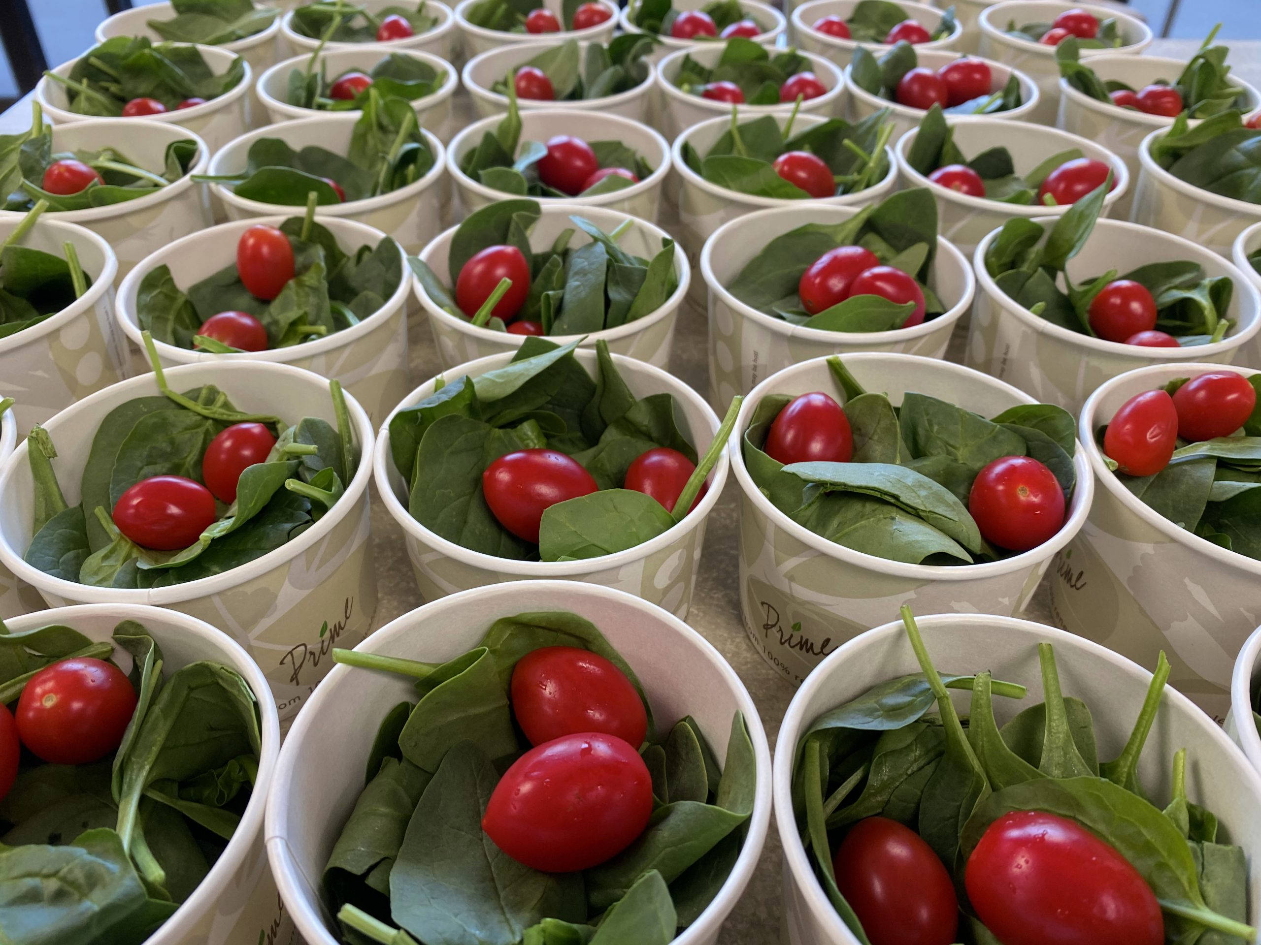 Spinach salads with tomatoes